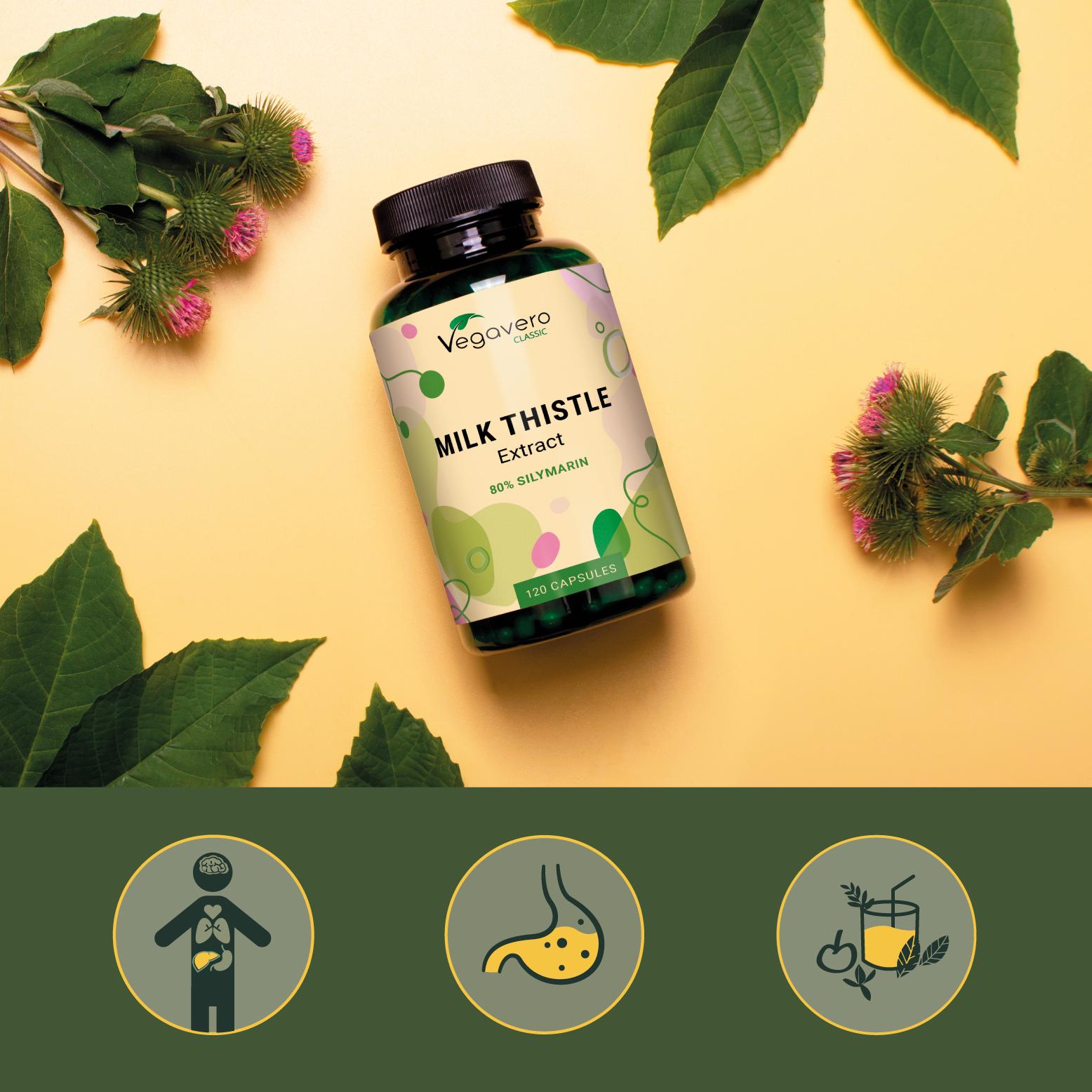 Milk Thistle Extract Capsules