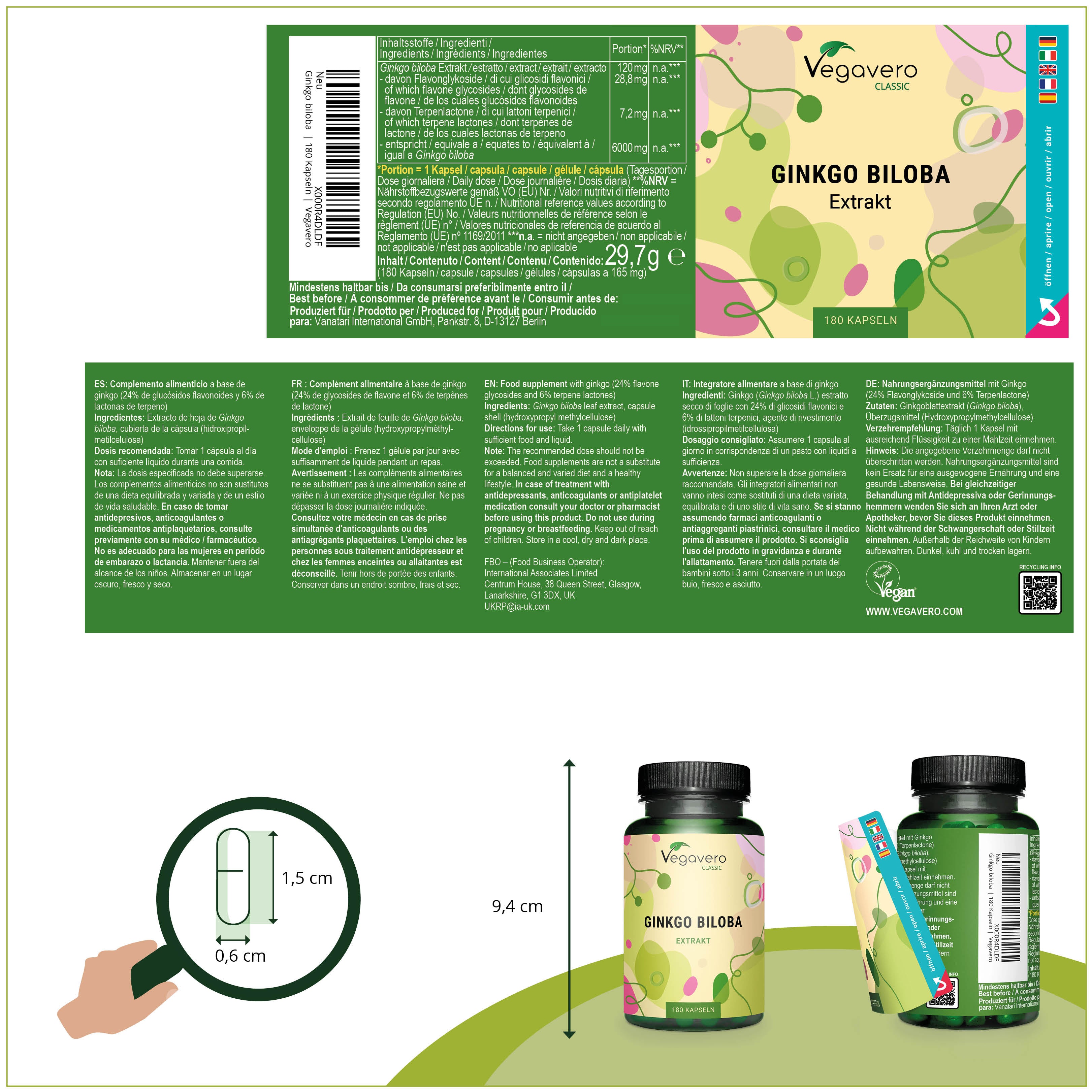 Ginkgo Biloba Extract Capsules