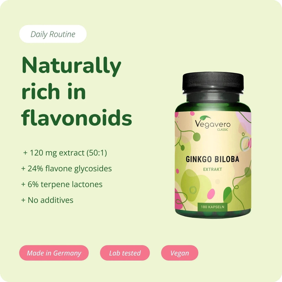 Ginkgo Biloba Extract Capsules