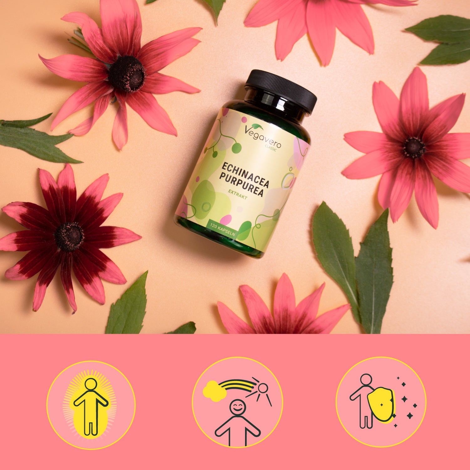 Echinacea Purpurea Extract Capsules