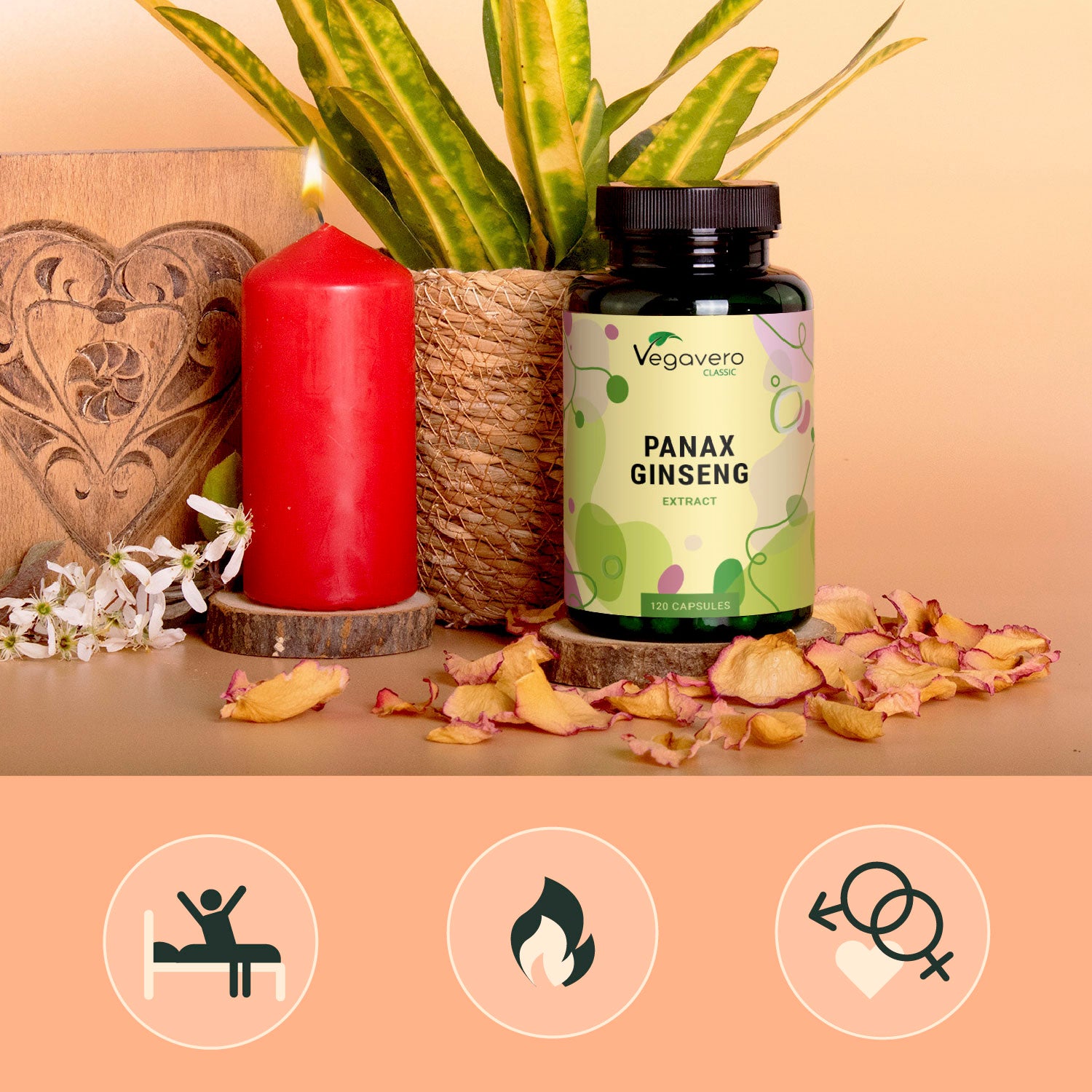 Panax Ginseng Extracto Cápsulas