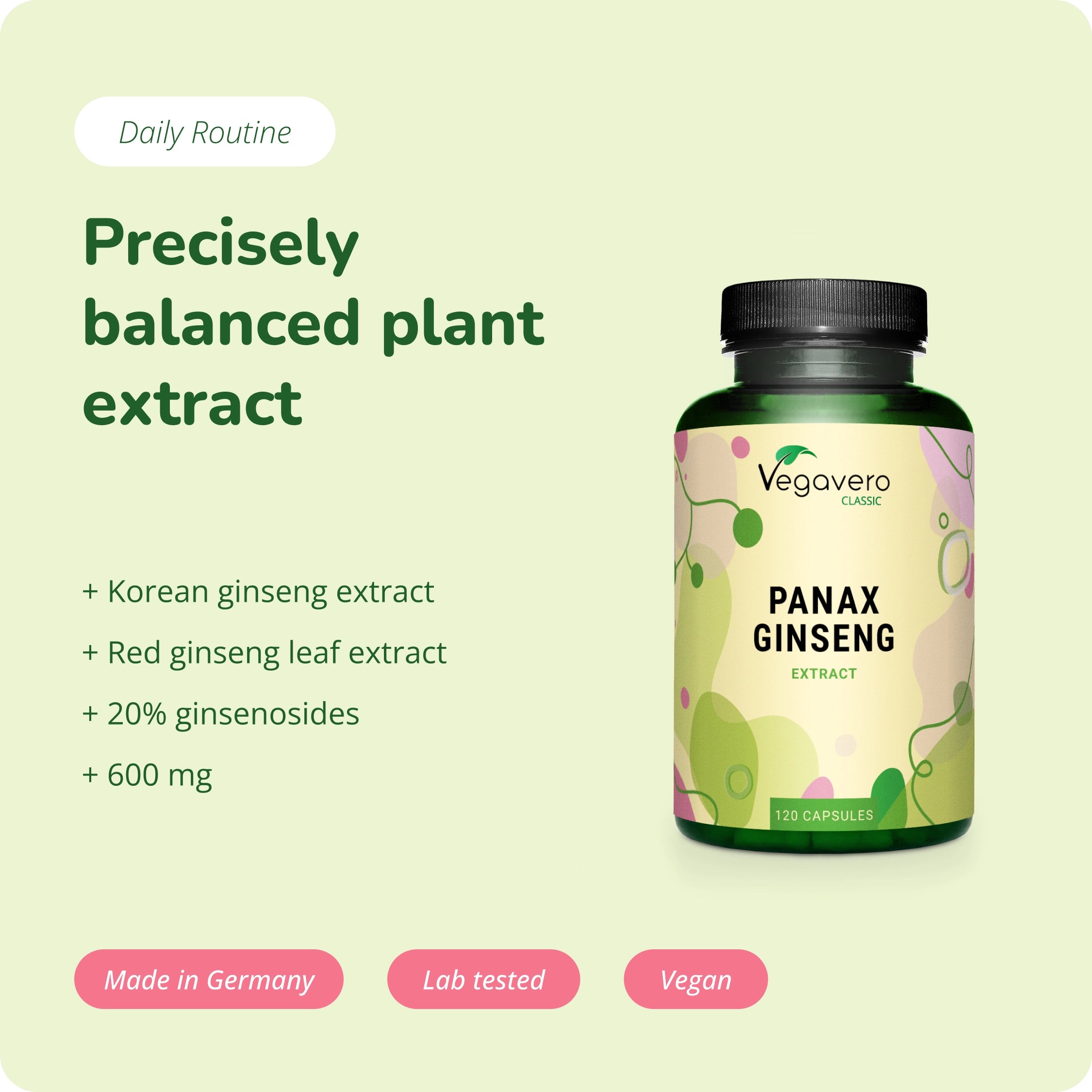 Panax Ginseng Extrakt Kapseln