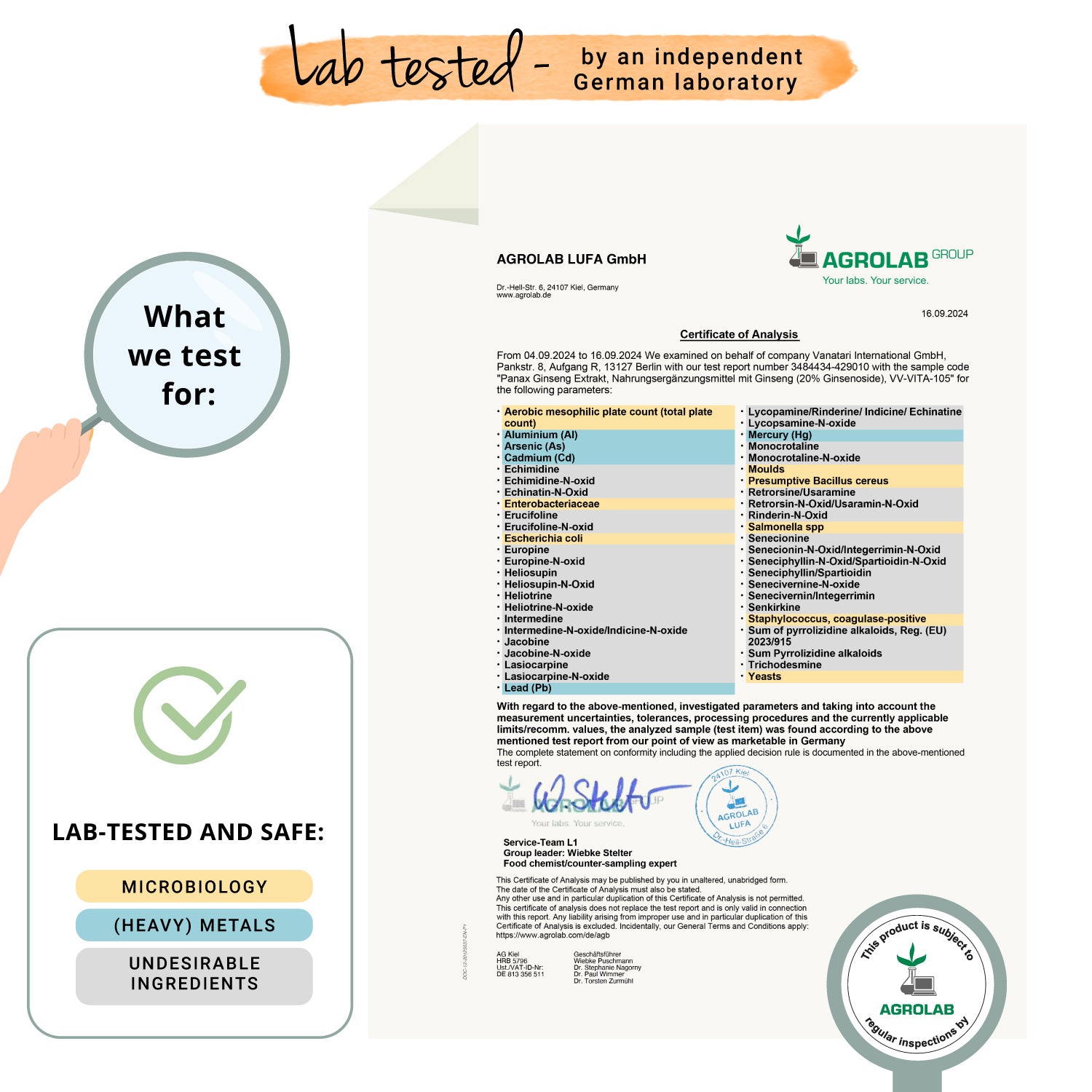 Panax Ginseng Extracto Cápsulas