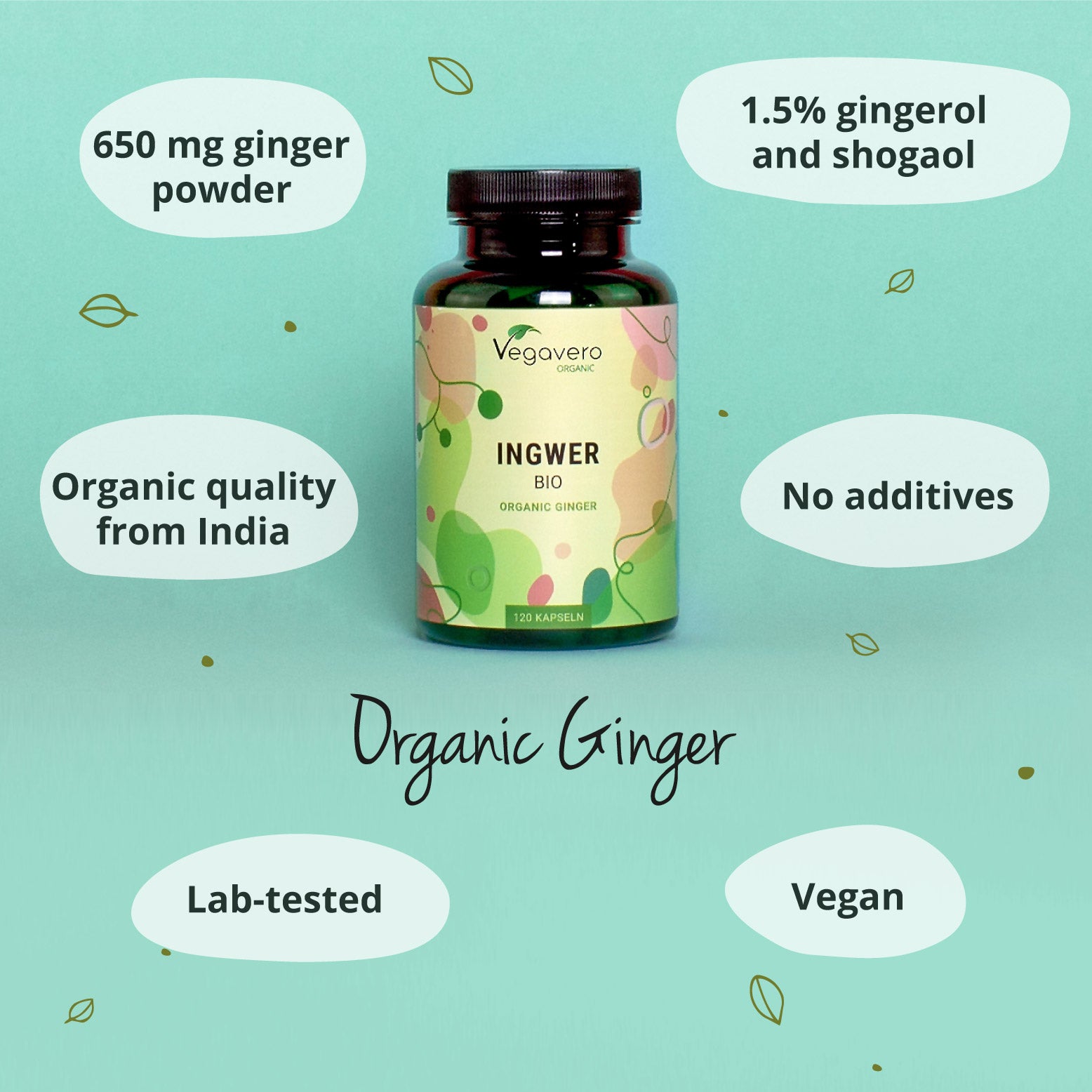 Gingembre Gélules Bio