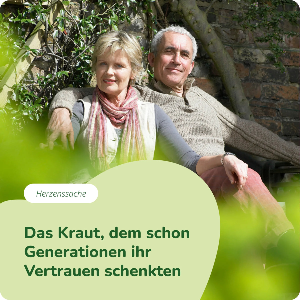 Weißdorn Extrakt Kapseln Bio