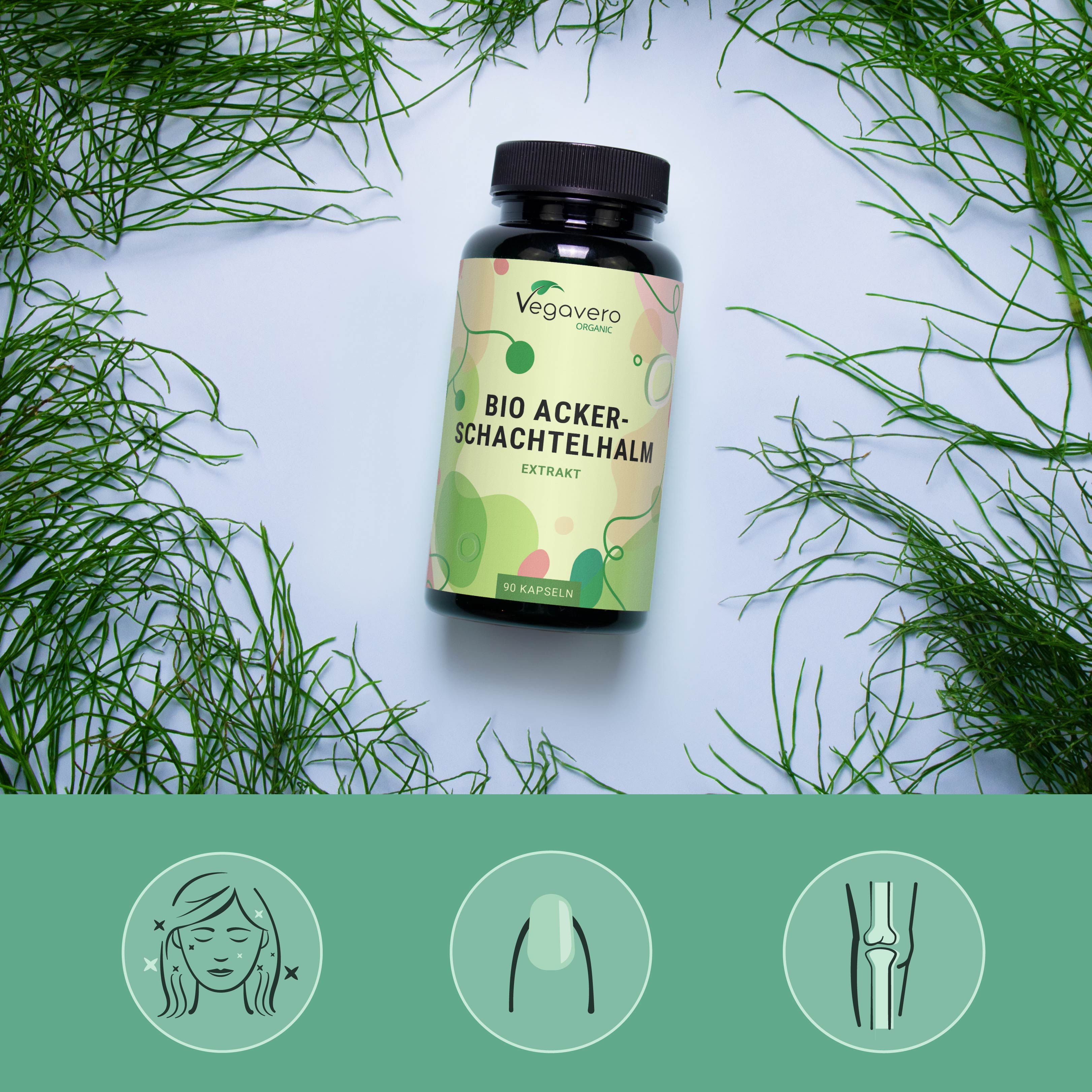 Horsetail Extract Capsules Organic