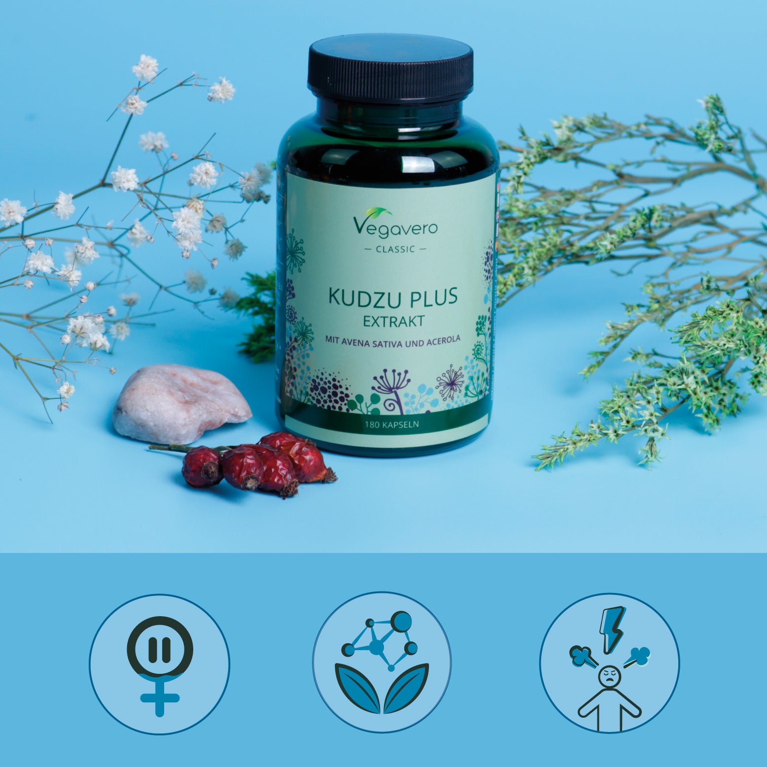 Kudzu Plus Capsules
