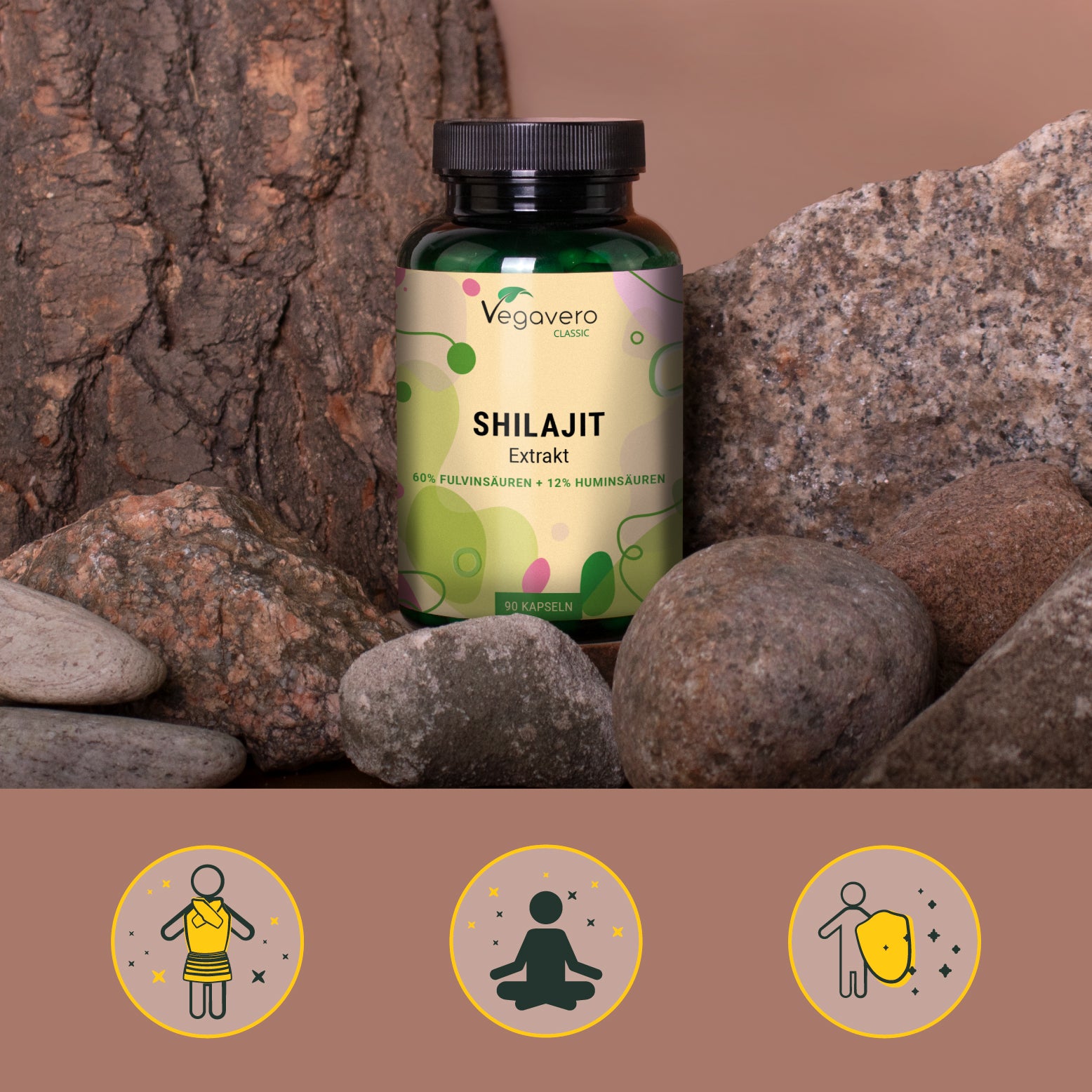 Shilajit Extract Capsules
