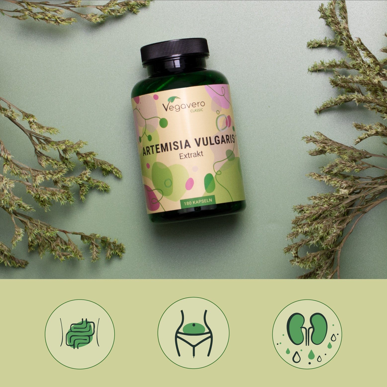 Mugwort Extract Capsules