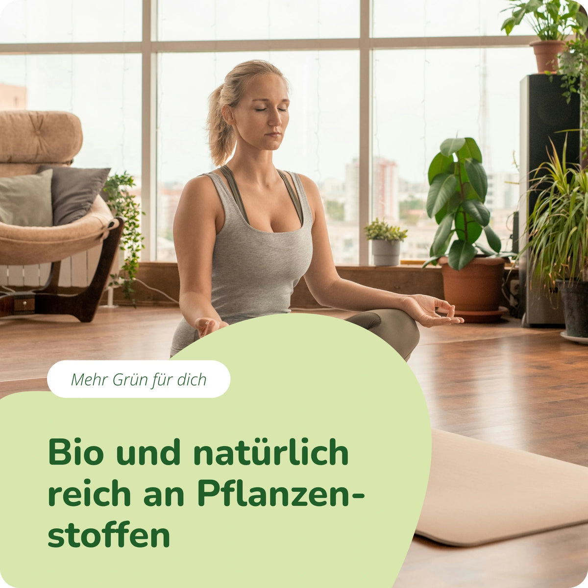 Moringa Oleifera Tabletten Bio