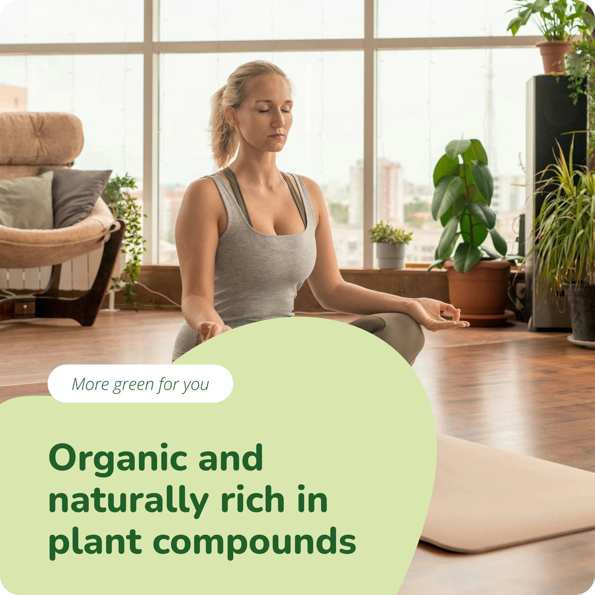 Moringa Oleifera Tablets Organic
