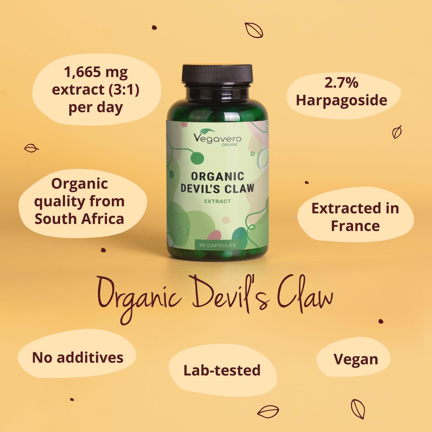 Devil's Claw Extract Capsules Organic