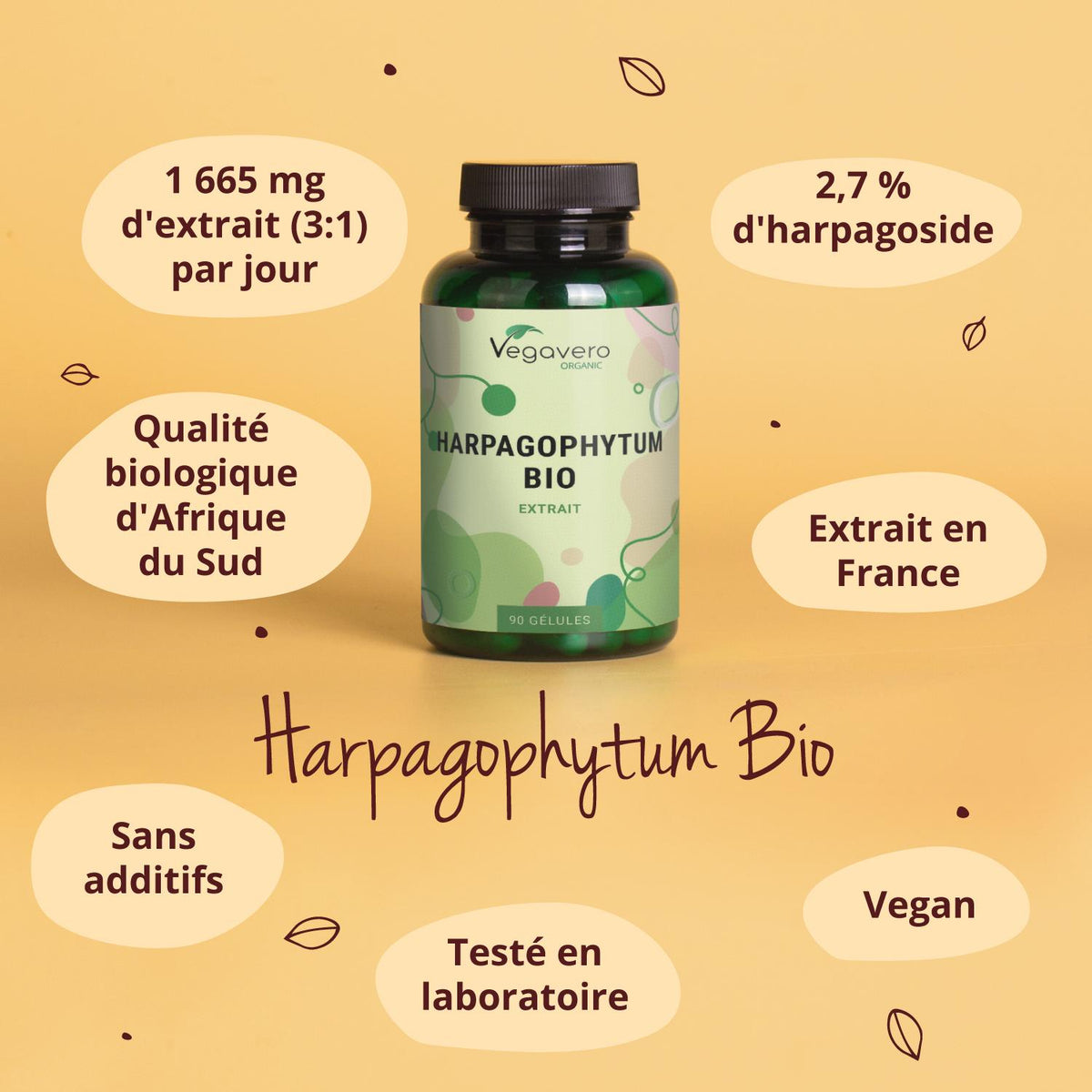 Griffe du Diable Extrait Gélules Bio