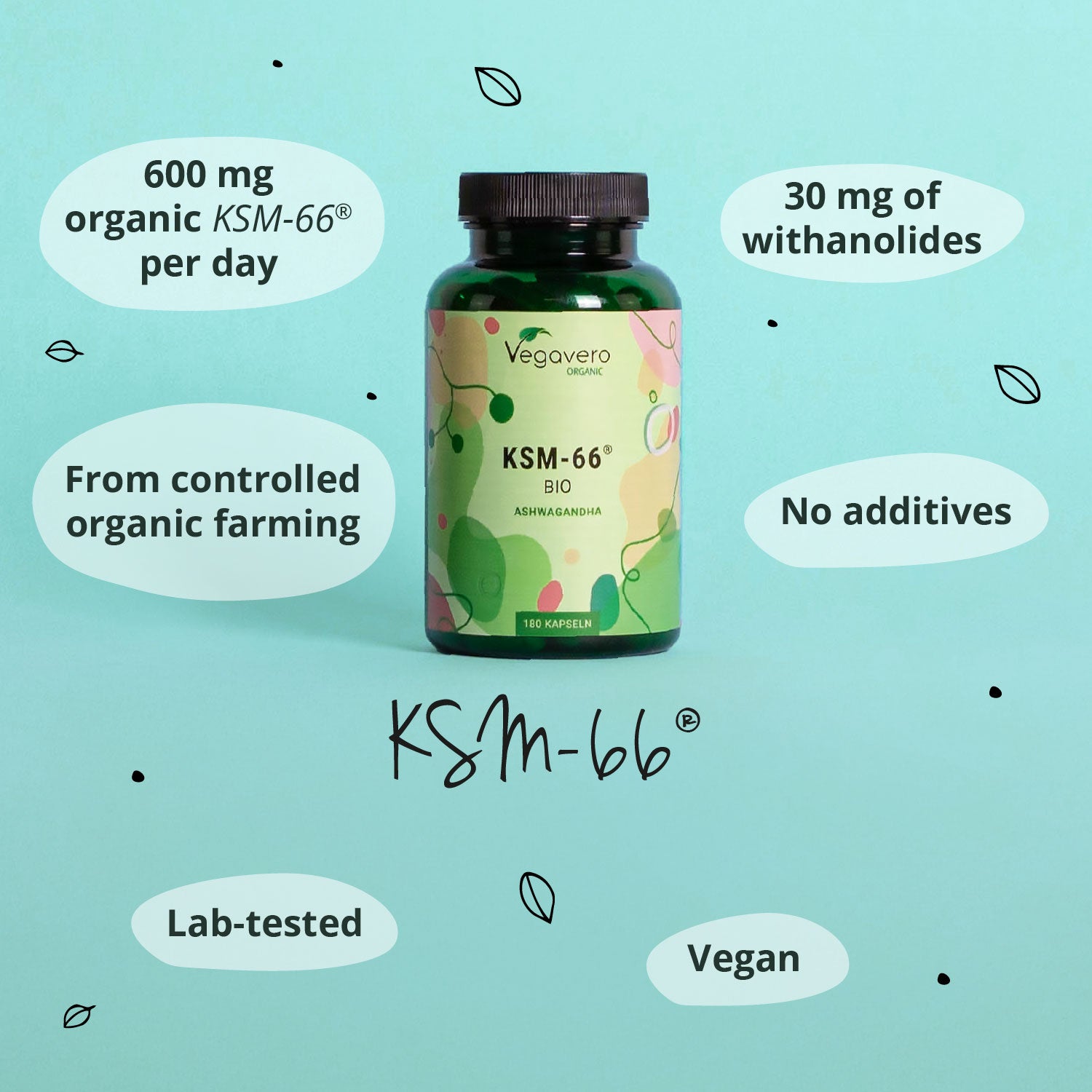 Ashwagandha KSM-66 Extrakt Kapseln Bio