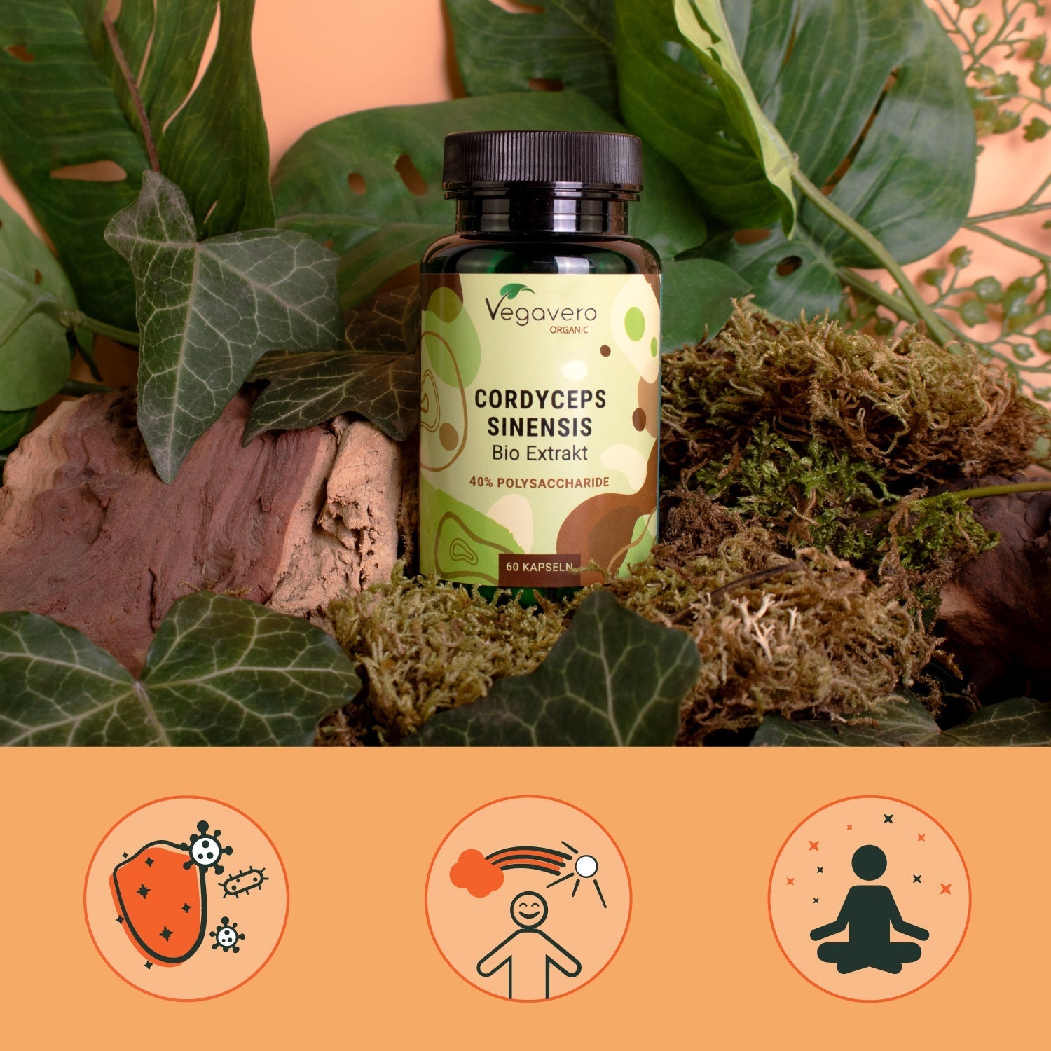 Cordyceps Sinensis Extract Capsules Organic