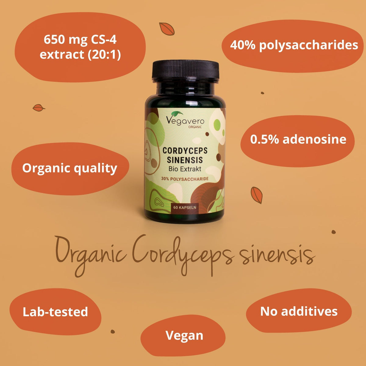 Cordyceps Sinensis Extract Capsules Organic