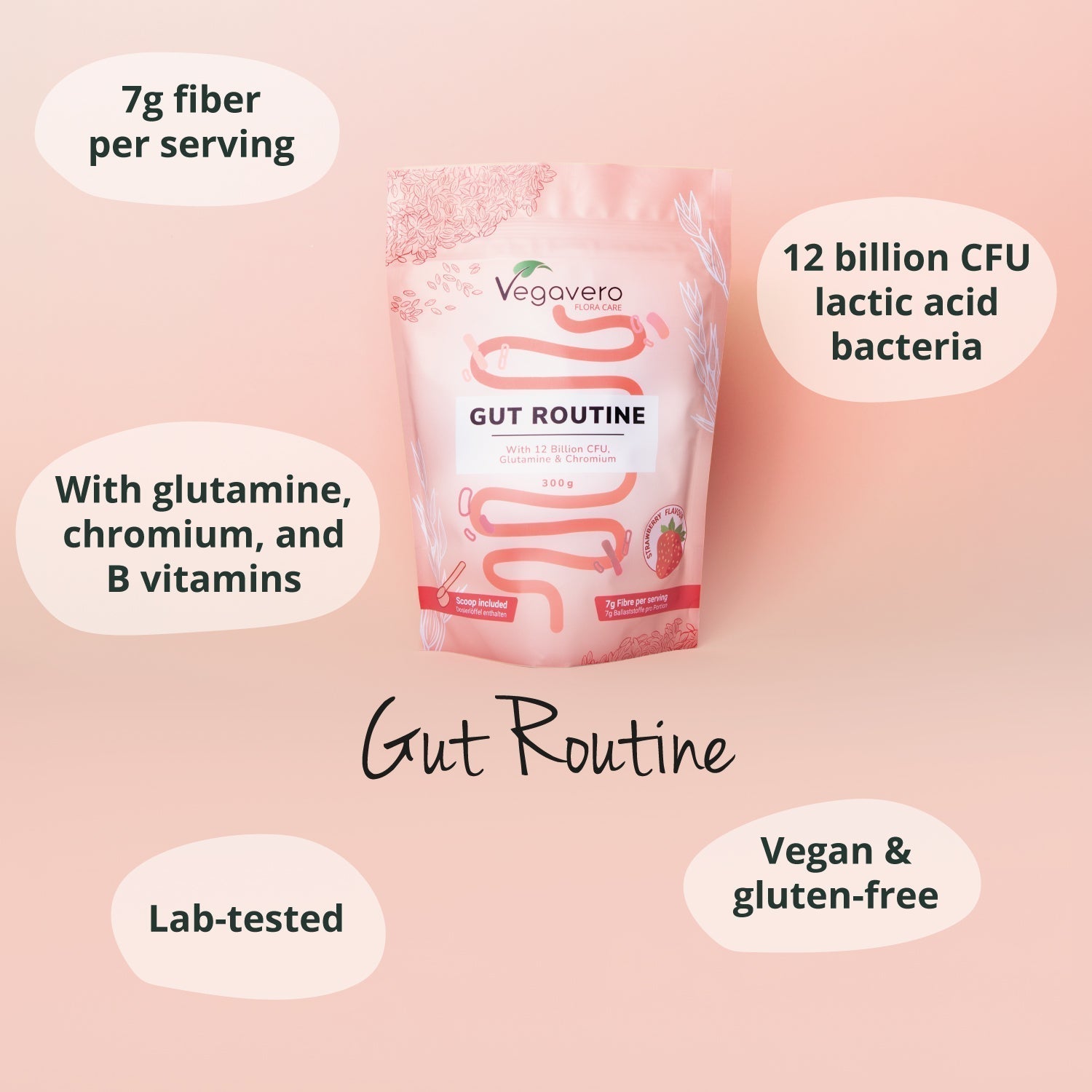 Gut Routine in Polvere