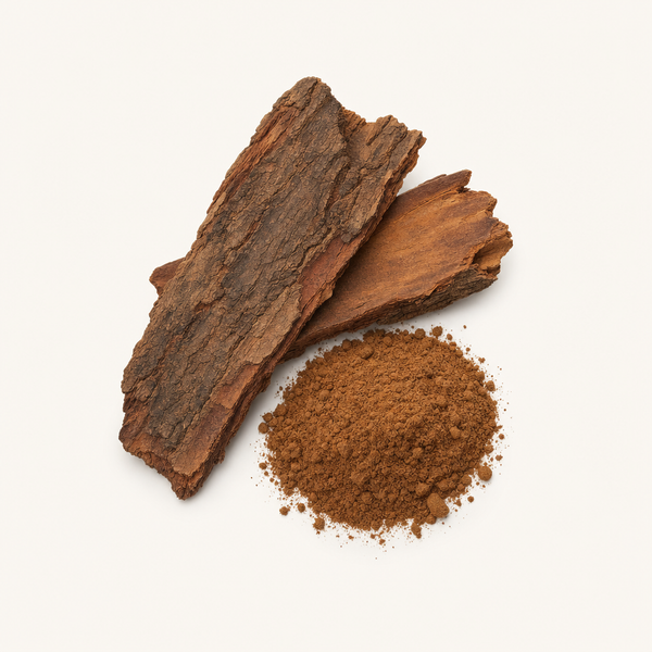 Afrikanischer Kirschbaum‑Rinden-Extrakt (10 % Sterole)