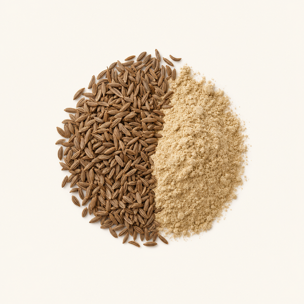 Poudre de fruit d'huile de carvi
