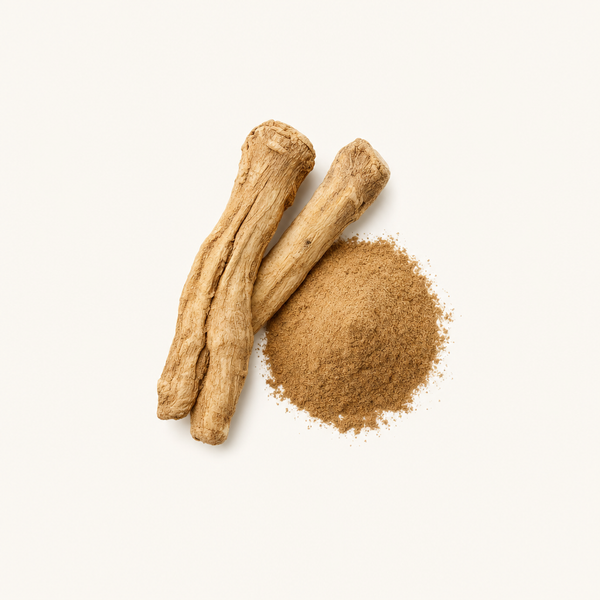 Chicory (Cichorium intybus var. sativum) Root Extract 2% Flavones
