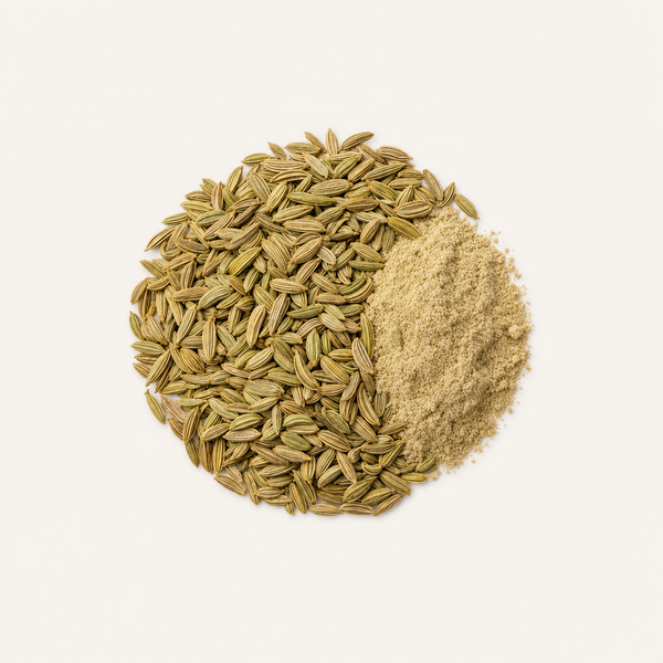 Estratto di frutto di finocchio (Foeniculum vulgare)