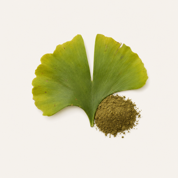 Ginkgo biloba Leaf Extract 24%