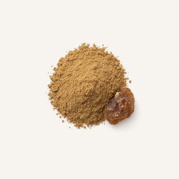 Guggul Oleoresin Extrakt / 5% Guggulsterones