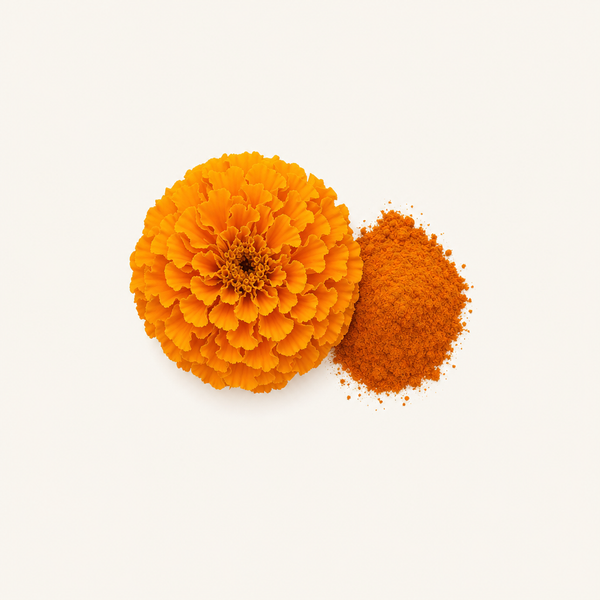 Marigold extract (XanMax®)