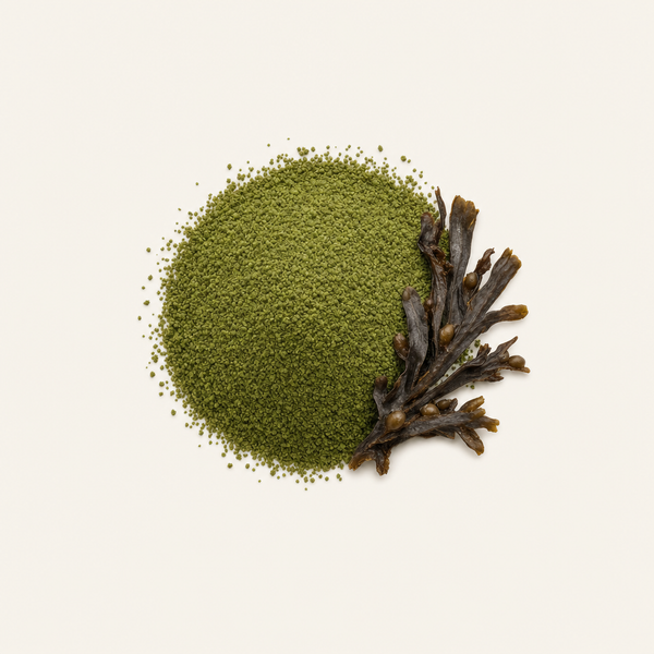 Natürliches Jod Bio PureSea®