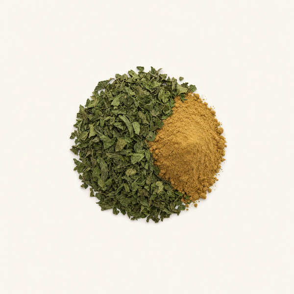 Extrait de plante de menthe poivrée (Mentha canadensis L.)