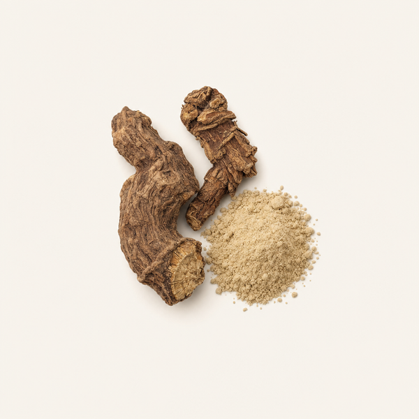 Extrait de racine de Rhodiola rosea - Rhodiolife®