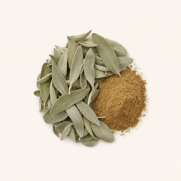Estratto di Salvia (2,5% Acido Rosmarinico) 12:1