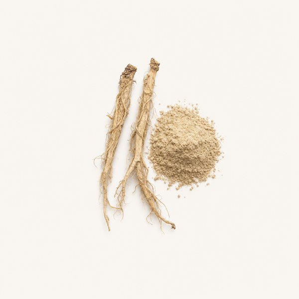 Brennnessel (Urtica dioica) Wurzelextrakt 1 % Beta‑Sitosterol (HPLC)