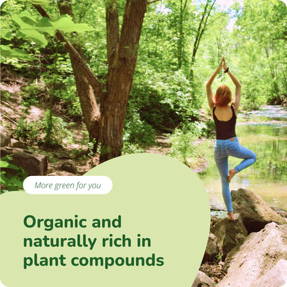 Moringa Oleifera Capsules Organic