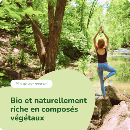 Moringa Oleifera Gélules Bio