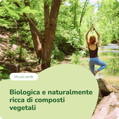 Moringa Oleifera Capsule Bio