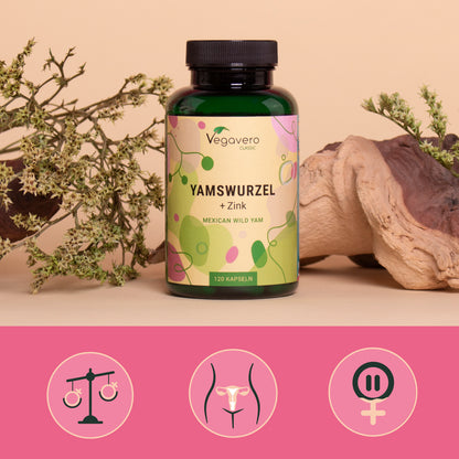 Wild Yams + Zinc Capsules