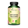 Artemisia Estratto Capsule