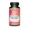 Saccharomyces Boulardii Cápsulas