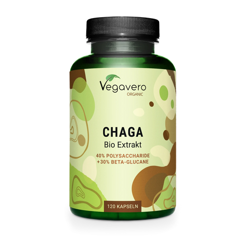 Pack De 3 Flacons D'extrait De Champignon Chaga 500mg - 300 Capsules Végétariennes Vita World - Neuf