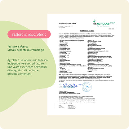 Tribulus Terrestris Estratto Capsule