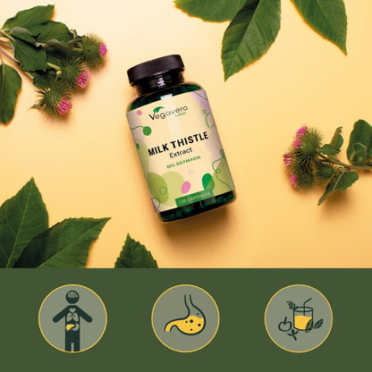 Milk Thistle Extract Capsules