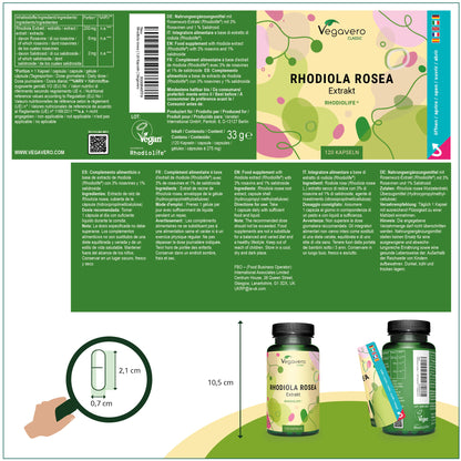 Rhodiola Rosea Extract Capsules