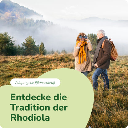Rhodiola Rosea Extrakt Kapseln