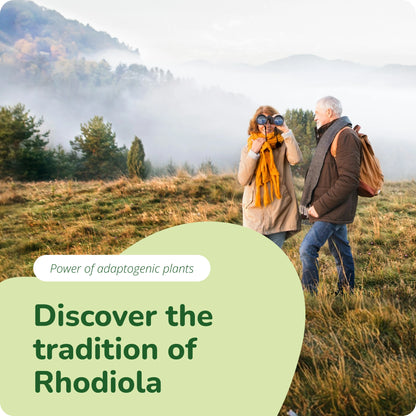 Rhodiola Rosea Extract Capsules