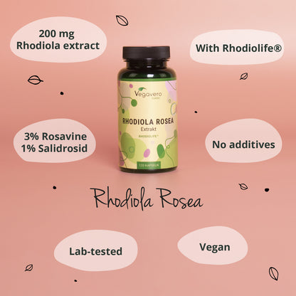 Rhodiola Rosea Extract Capsules