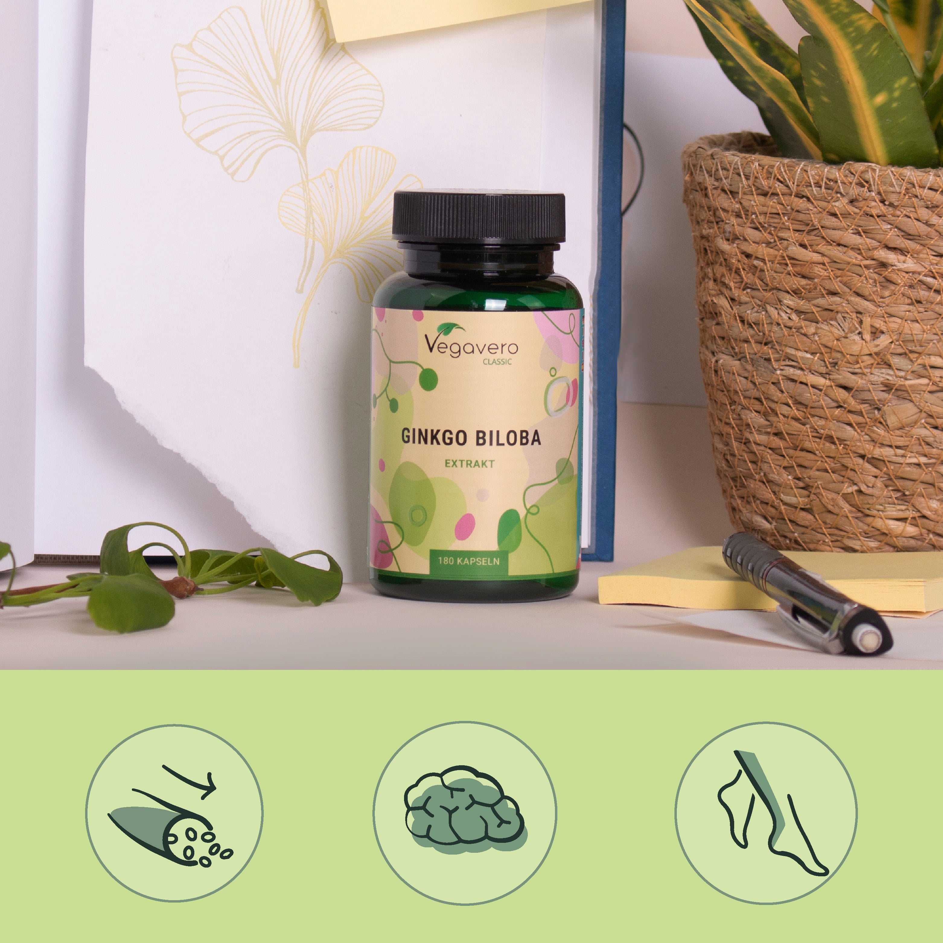 Ginkgo Biloba Extract Capsules