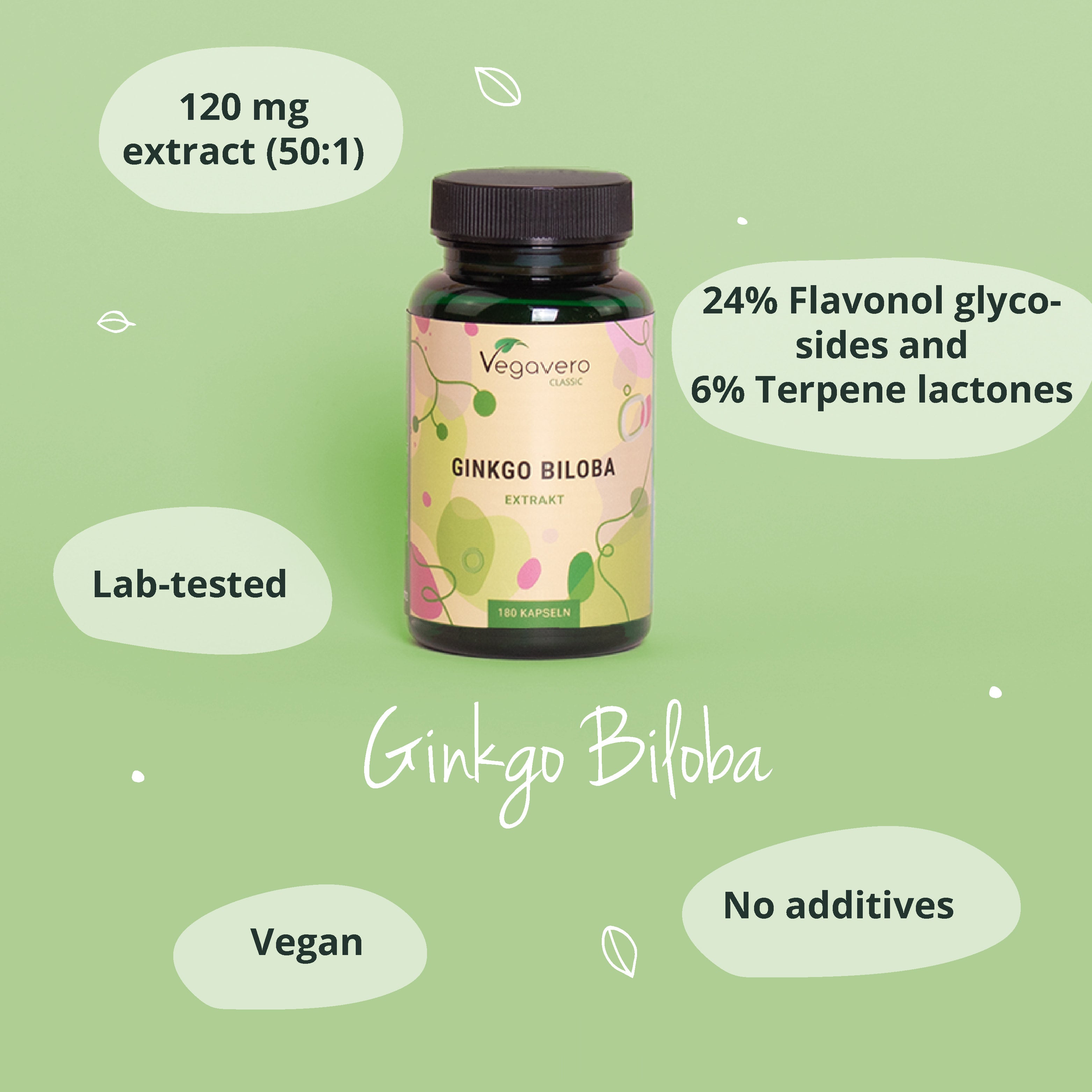 Ginkgo Biloba Extract Capsules