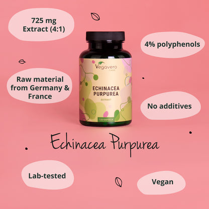 Echinacea Purpurea Extract Capsules
