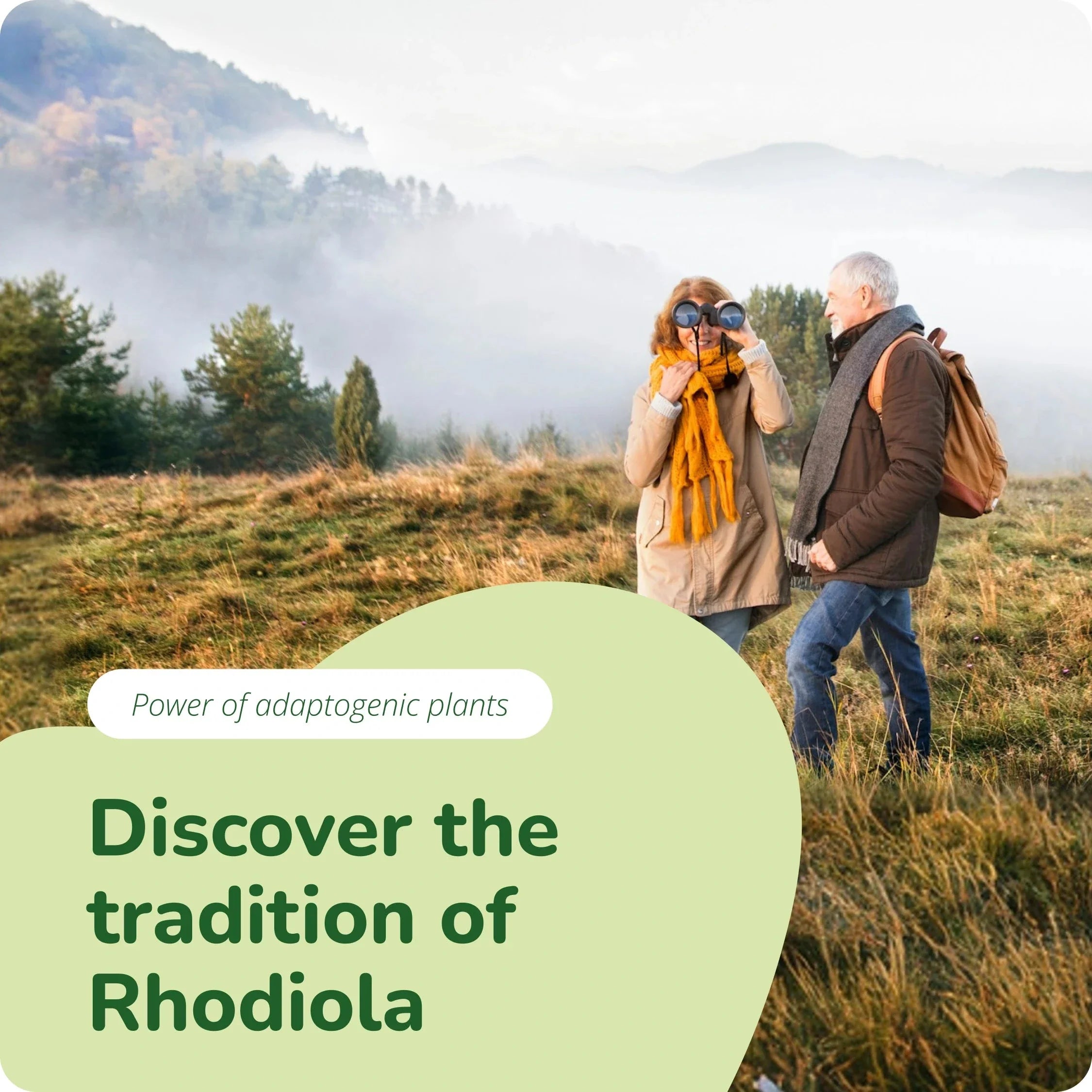 Rhodiola Rosea Extract Capsules